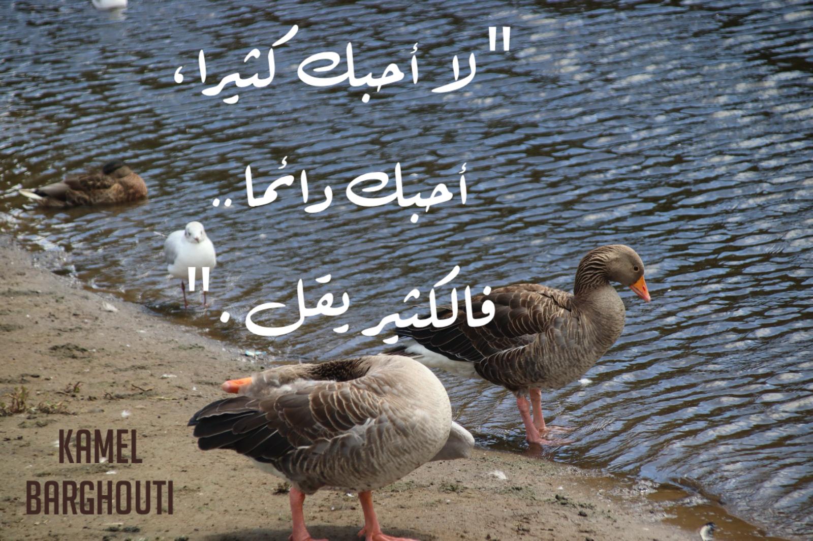حب وحنين – اقتباس 649