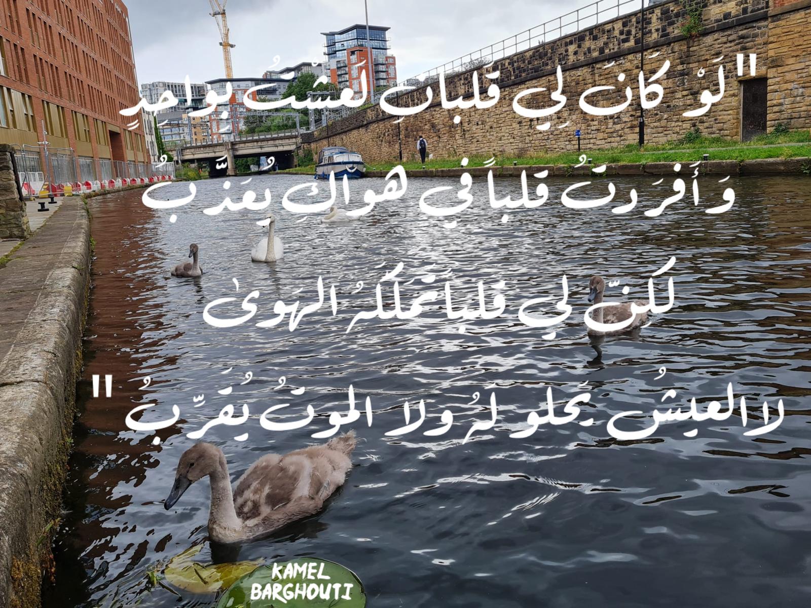 حب وحنين – اقتباس 627