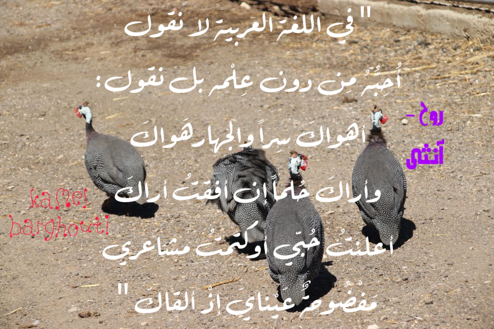 حب وحنين – اقتباس 630