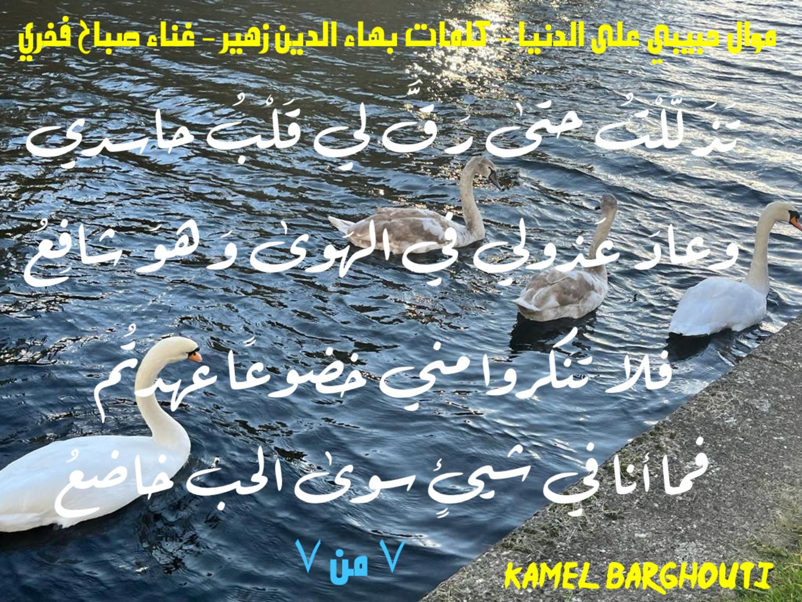 حب وحنين – اقتباس 617