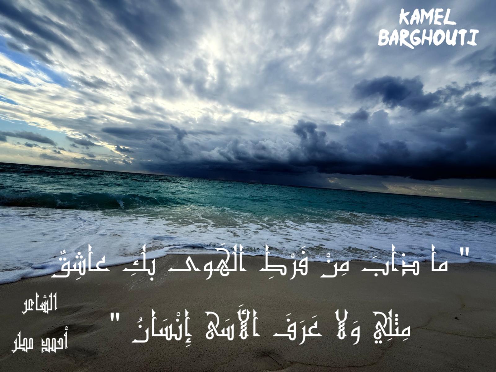 حب وحنين – اقتباس 625