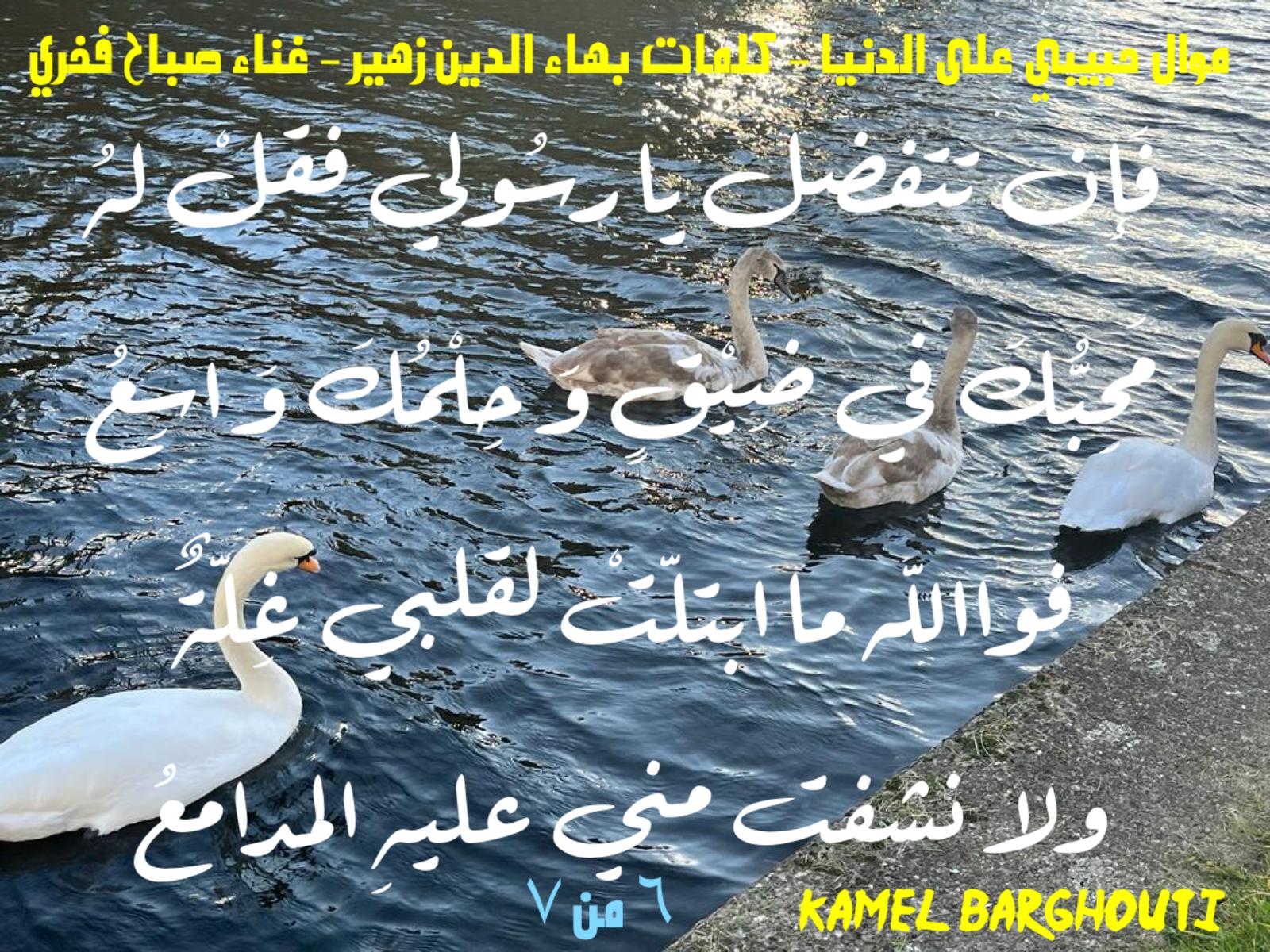 حب وحنين – اقتباس 616