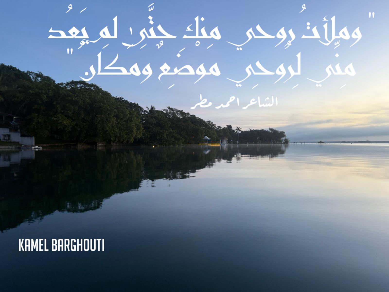 حب وحنين – اقتباس 624