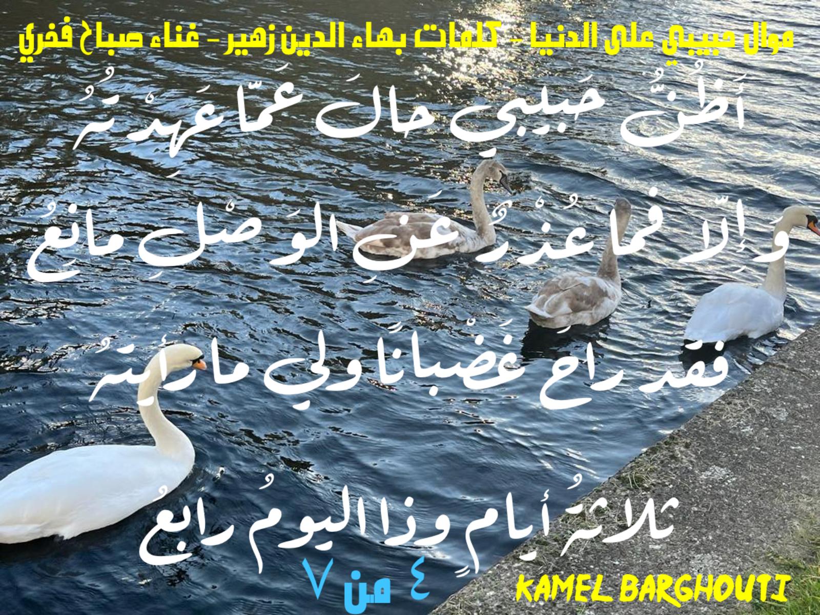 حب وحنين – اقتباس 614