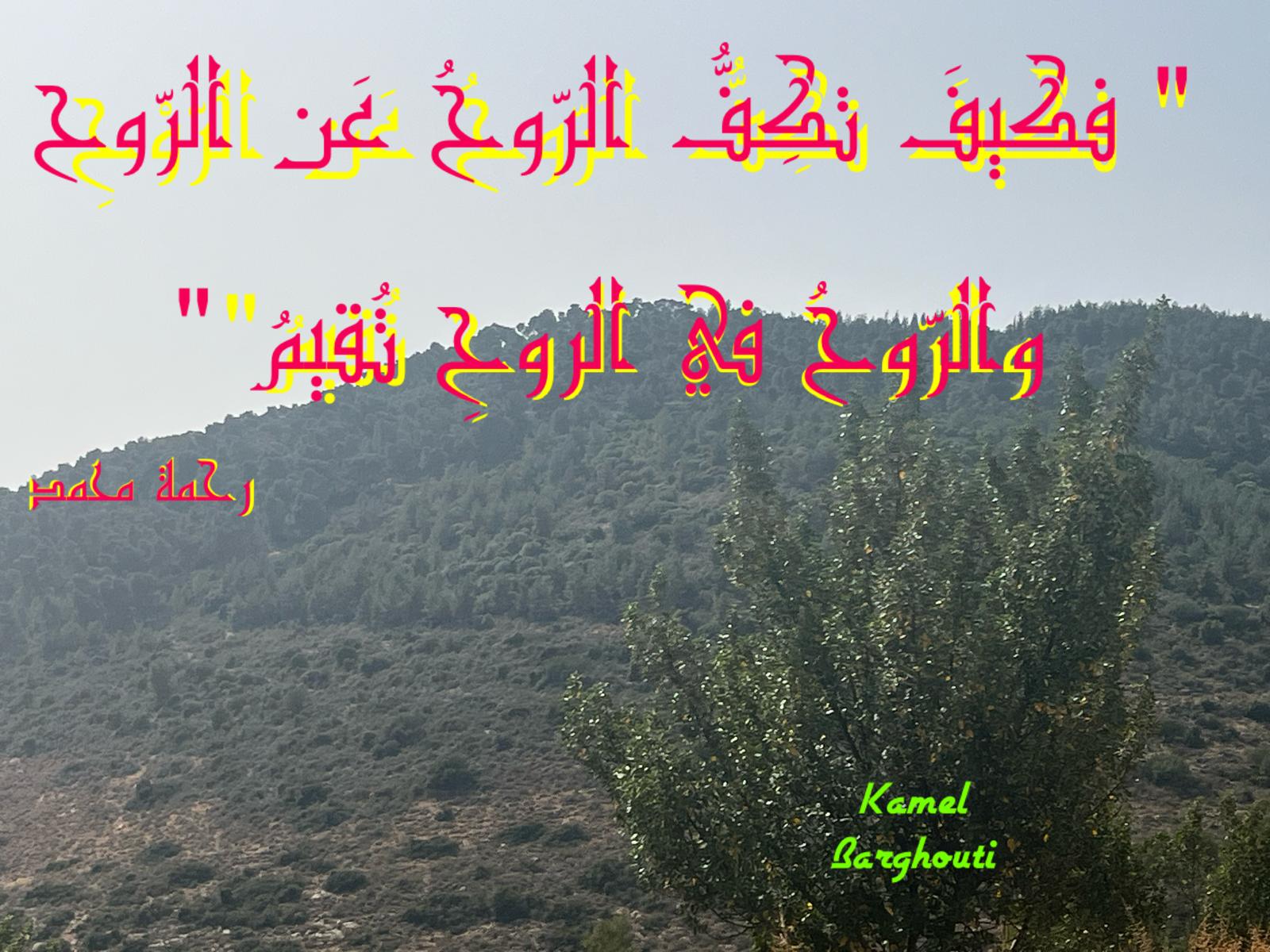 حب وحنين – اقتباس 591
