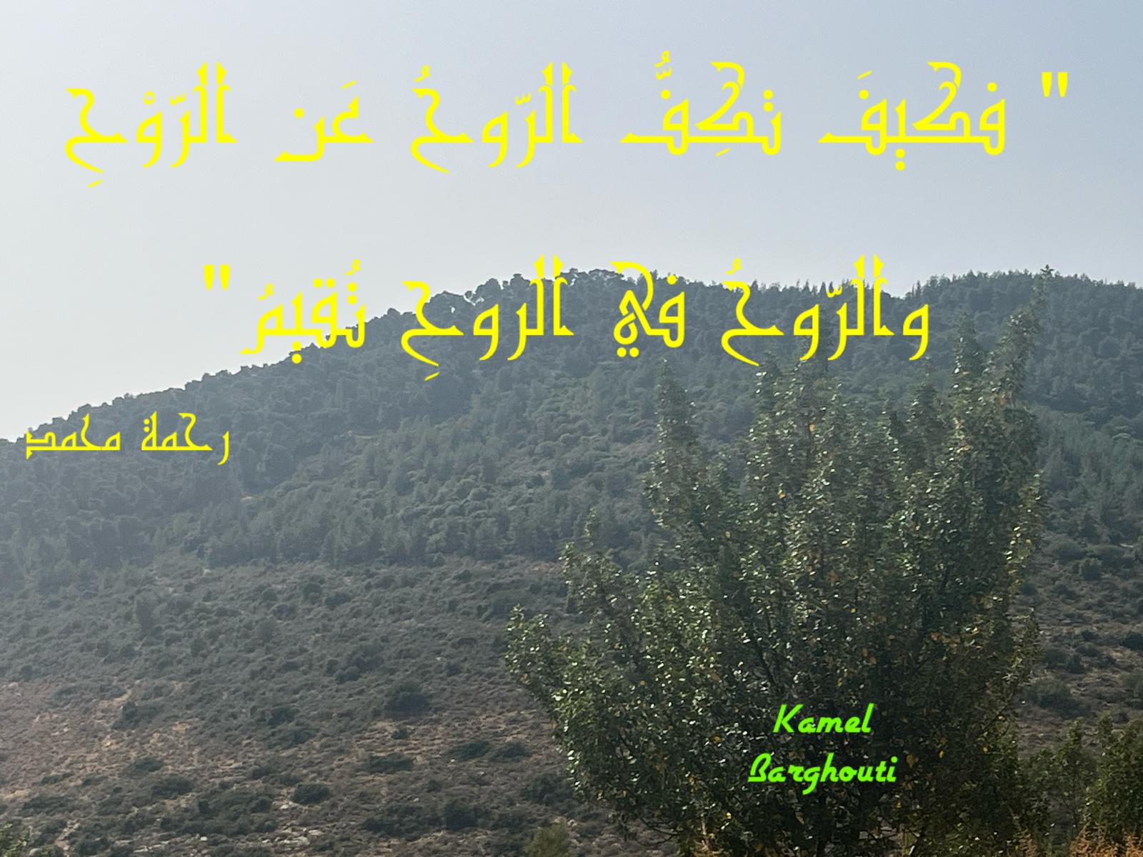 حب وحنين – اقتباس 589