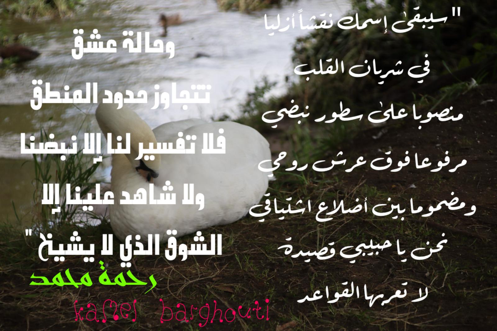 حب وحنين – اقتباس 582