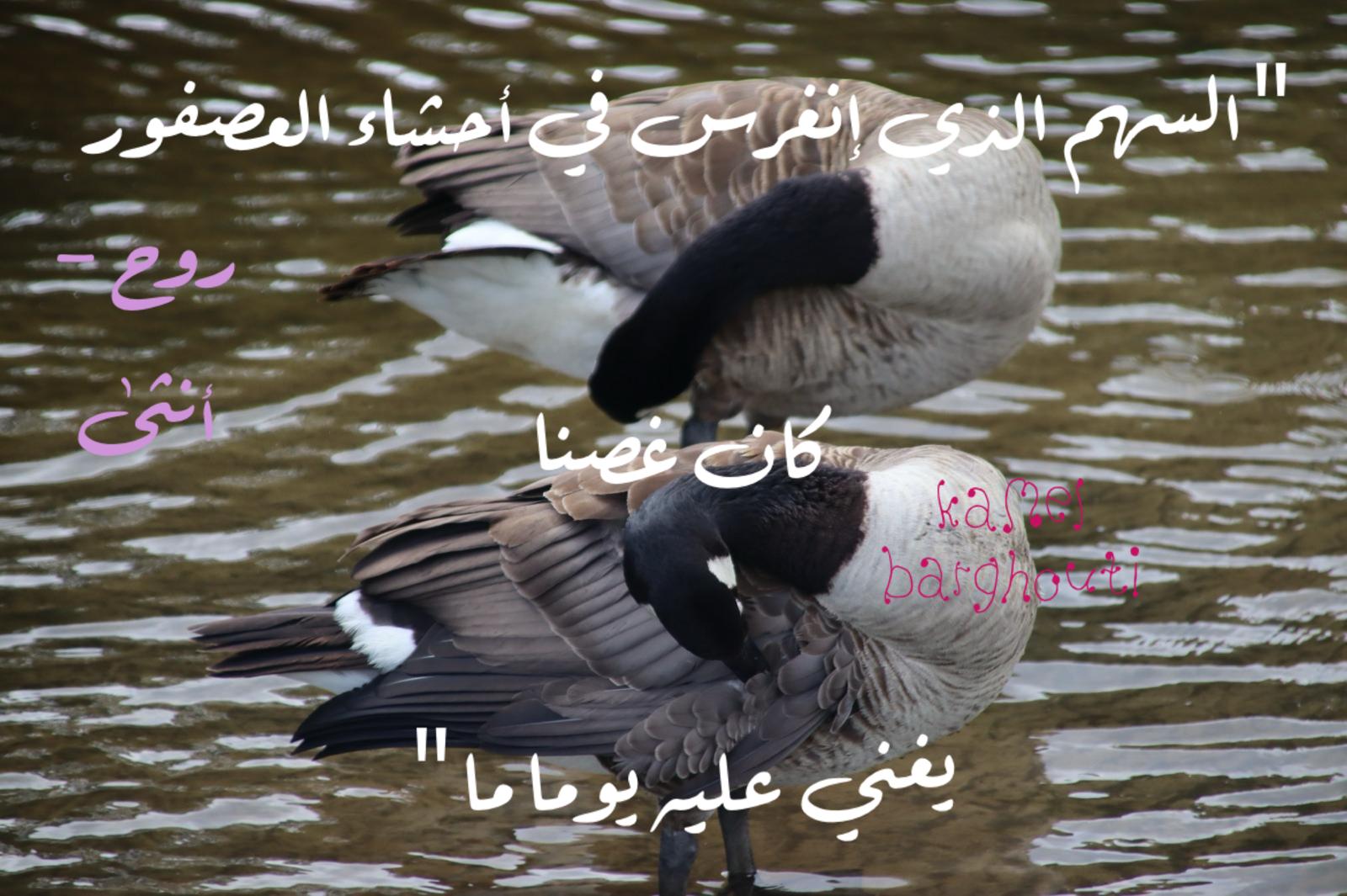أماكن ولقاءات وأوقات – اقتباس 186