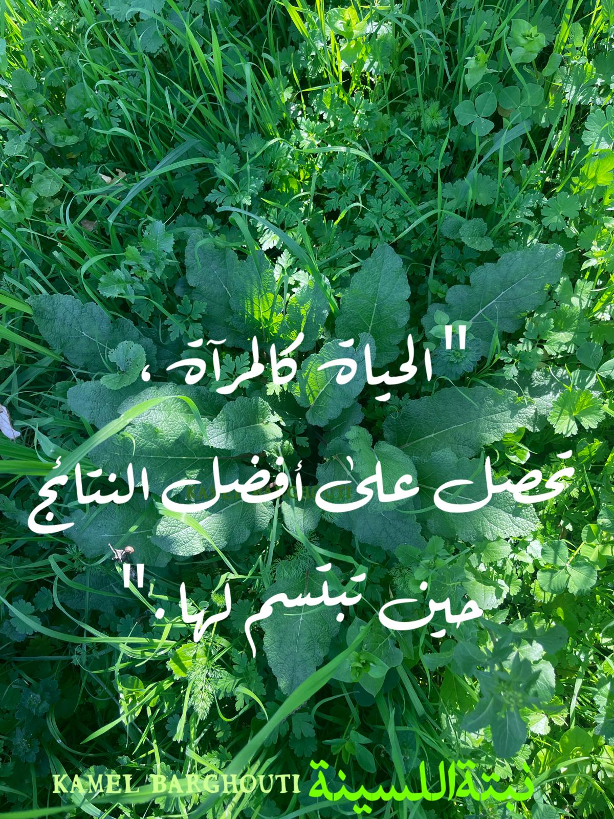 ابتسامة – اقتباس 38