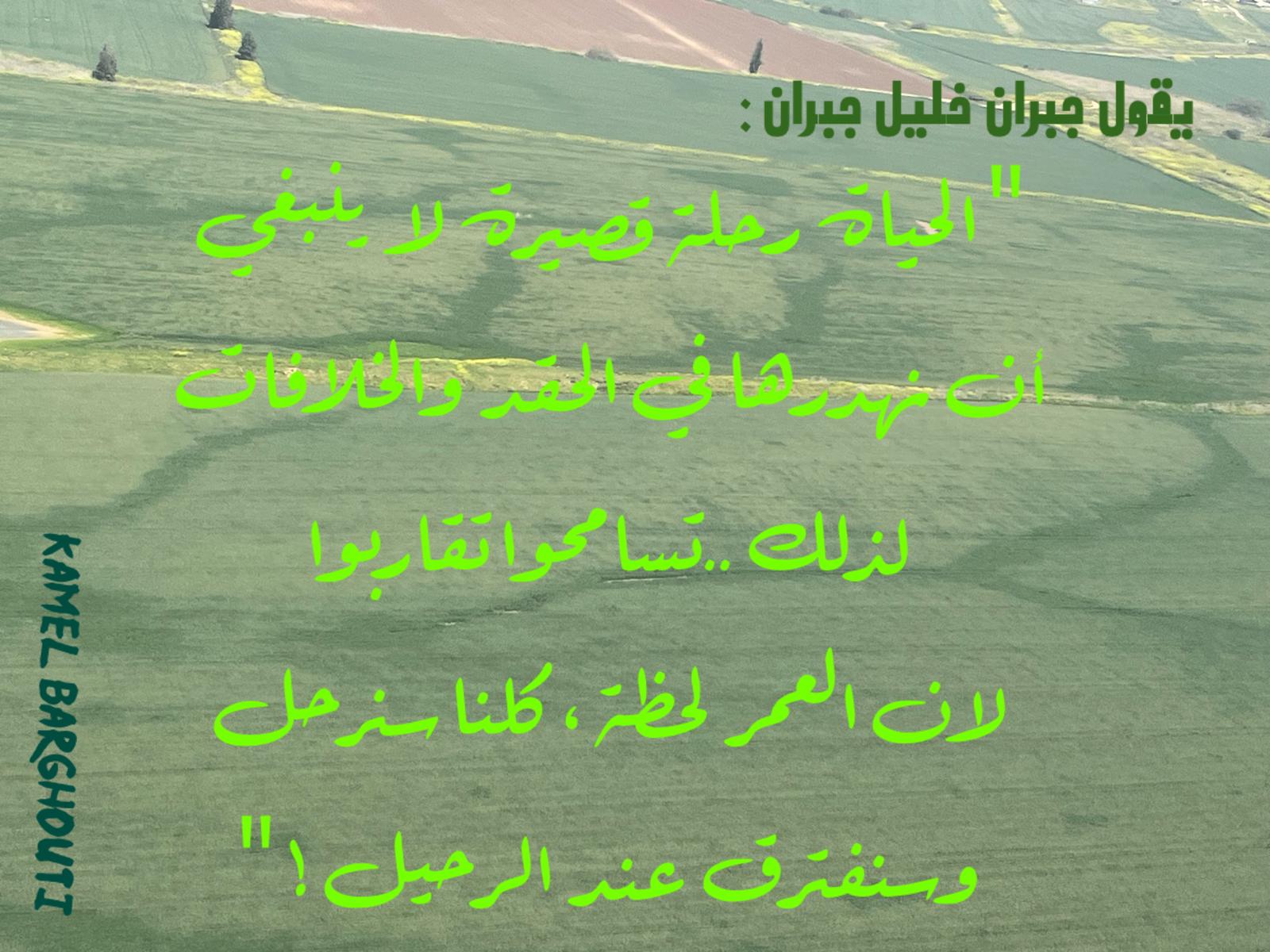 تسامح – اقتباس 40