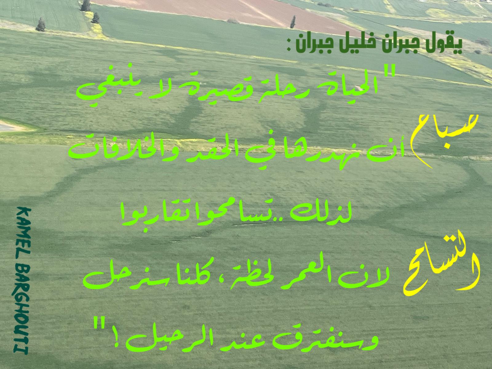 تسامح – اقتباس 42