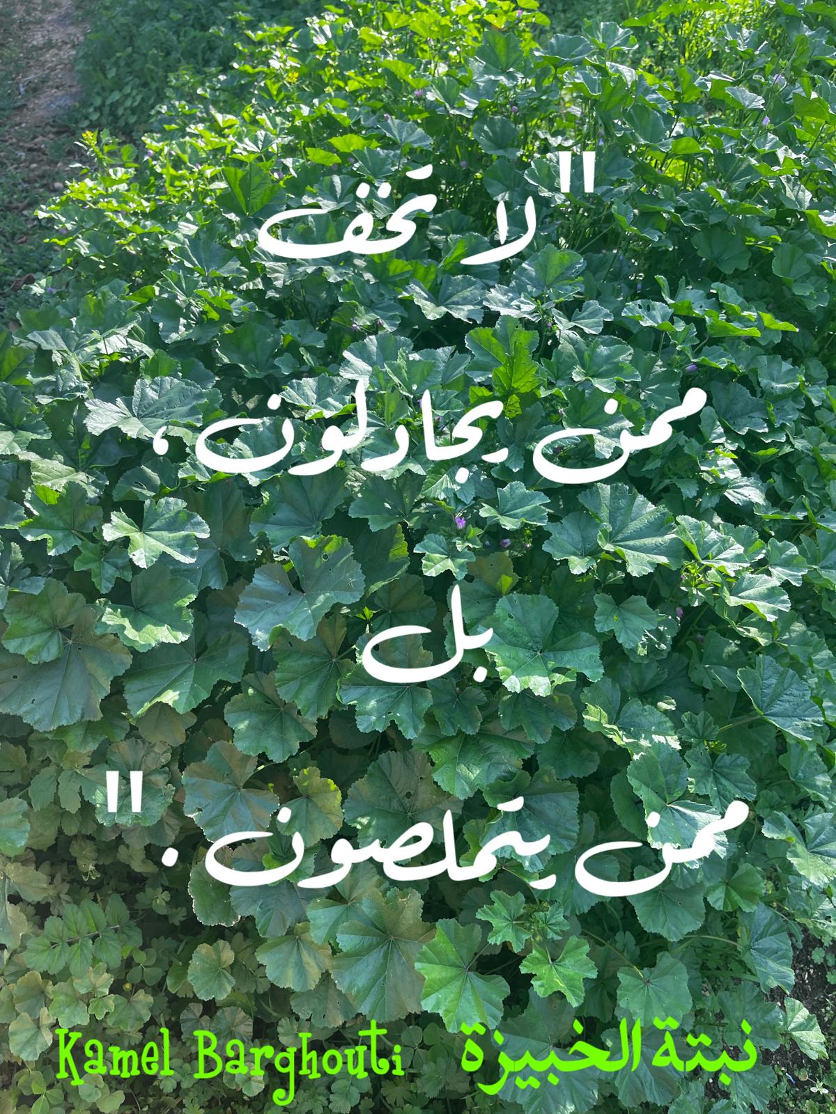 حكمة – اقتباس 370