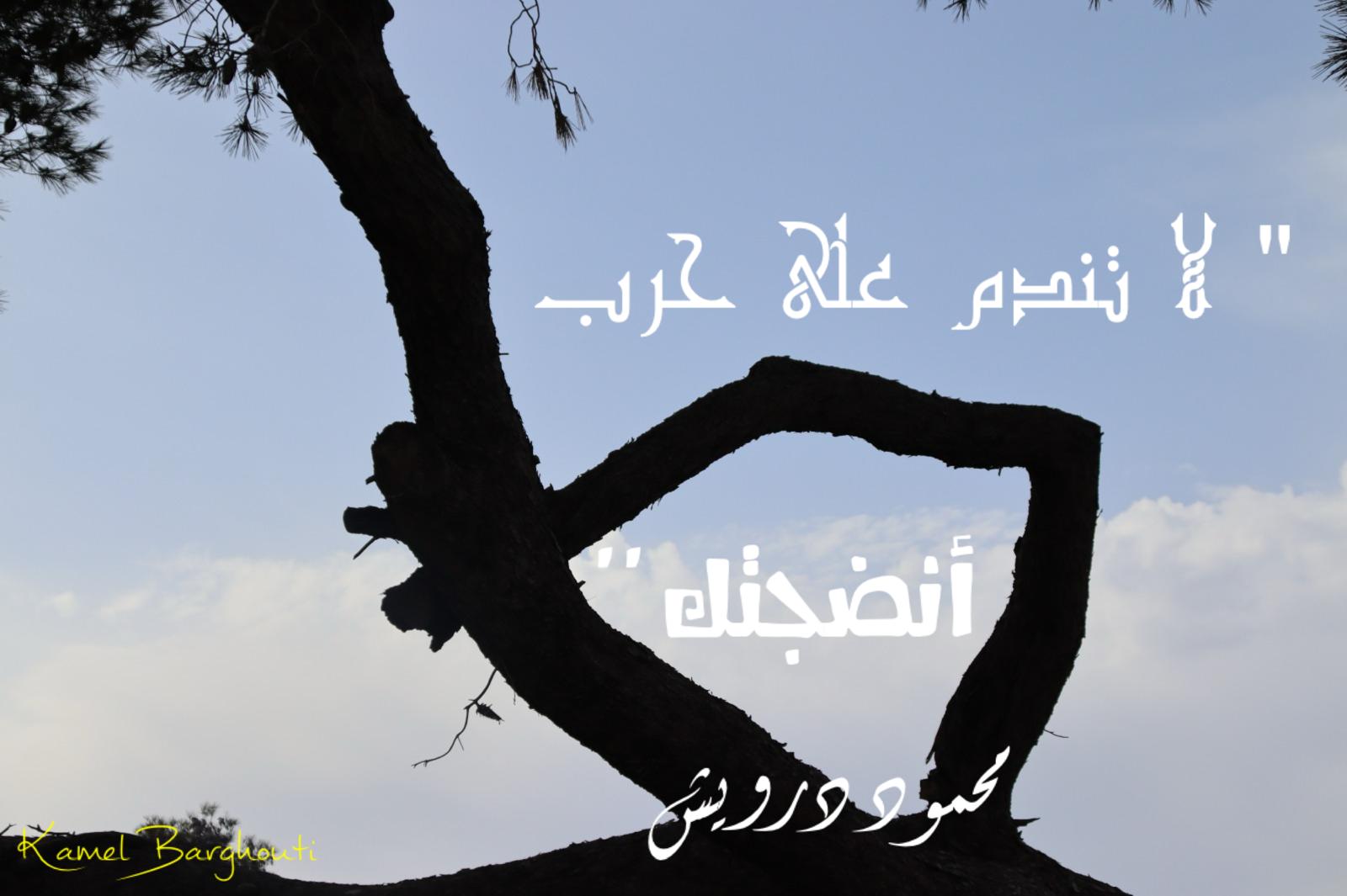 حكمة – اقتباس 368