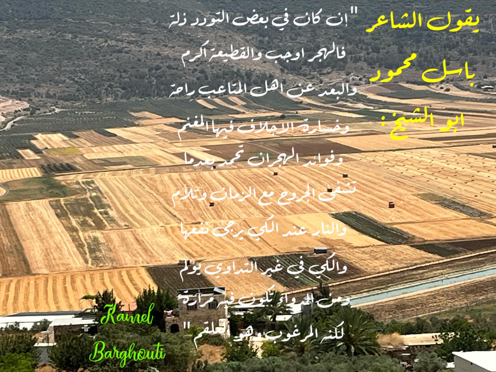 حكمة – اقتباس 330