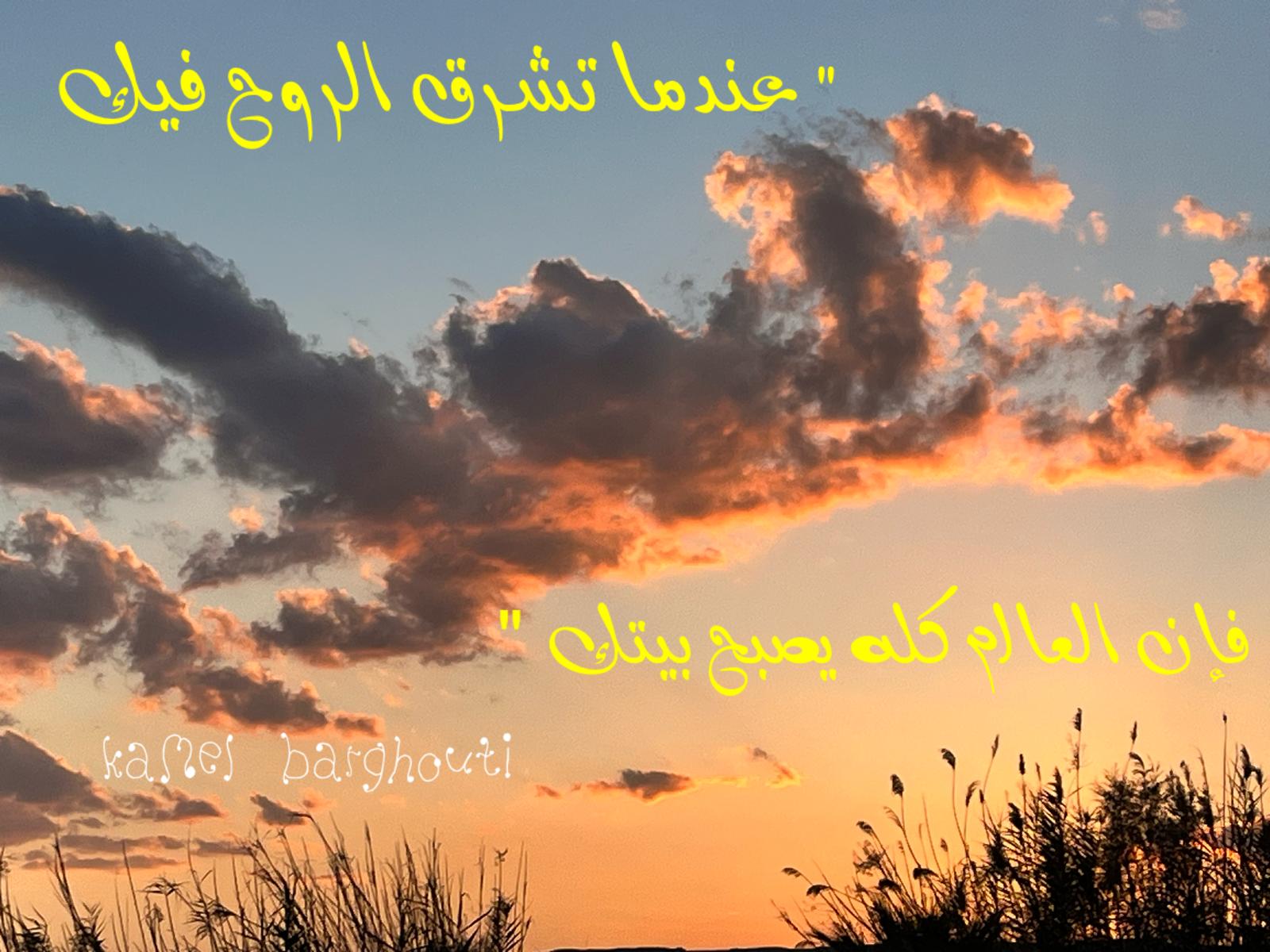 حكمة – اقتباس 343
