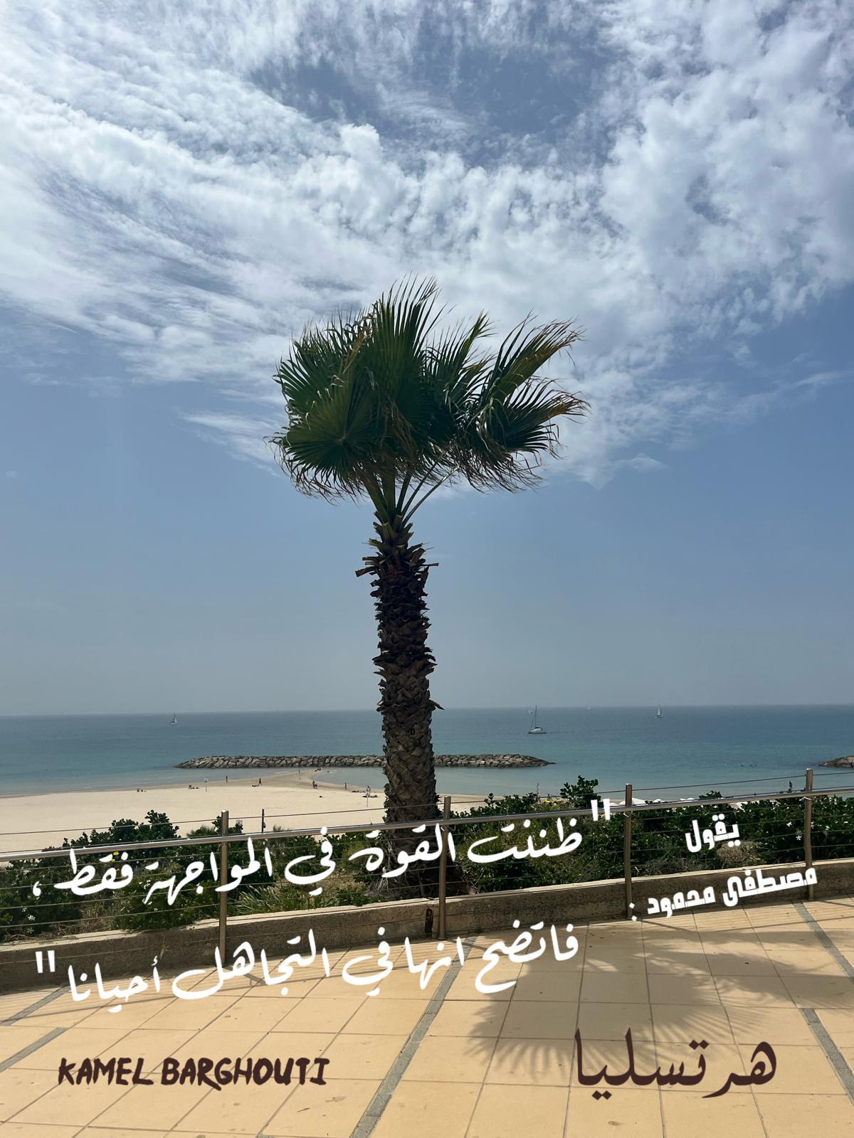 حكمة – اقتباس 333