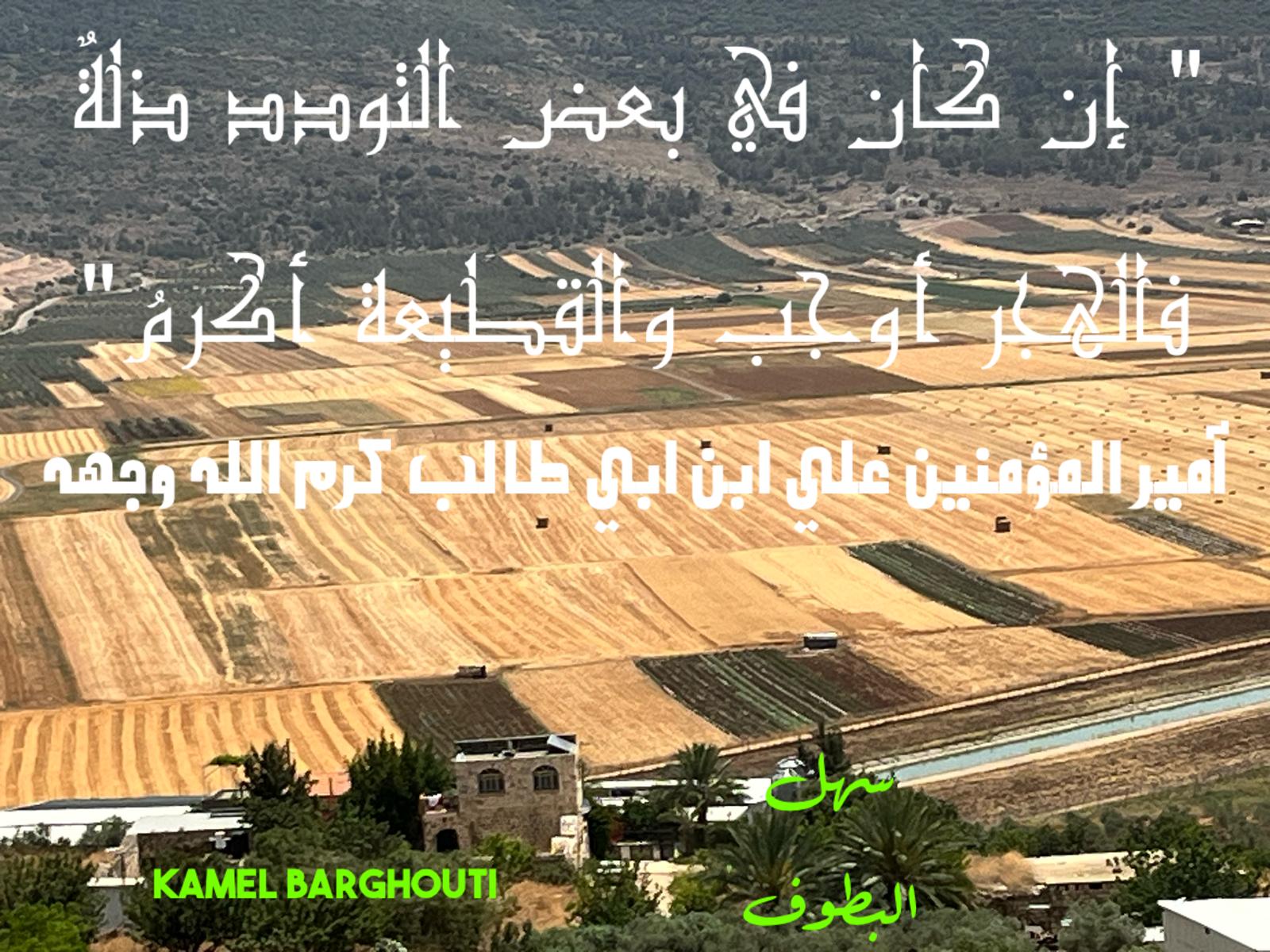 حكمة – اقتباس 331