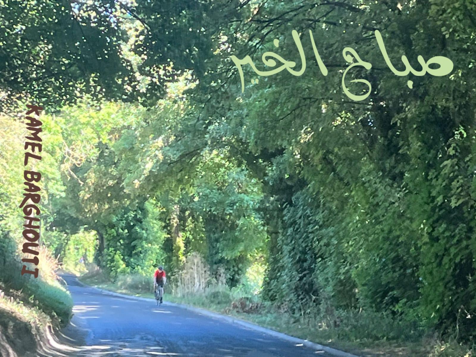 التحيات والتمنيات – اقتباس 81