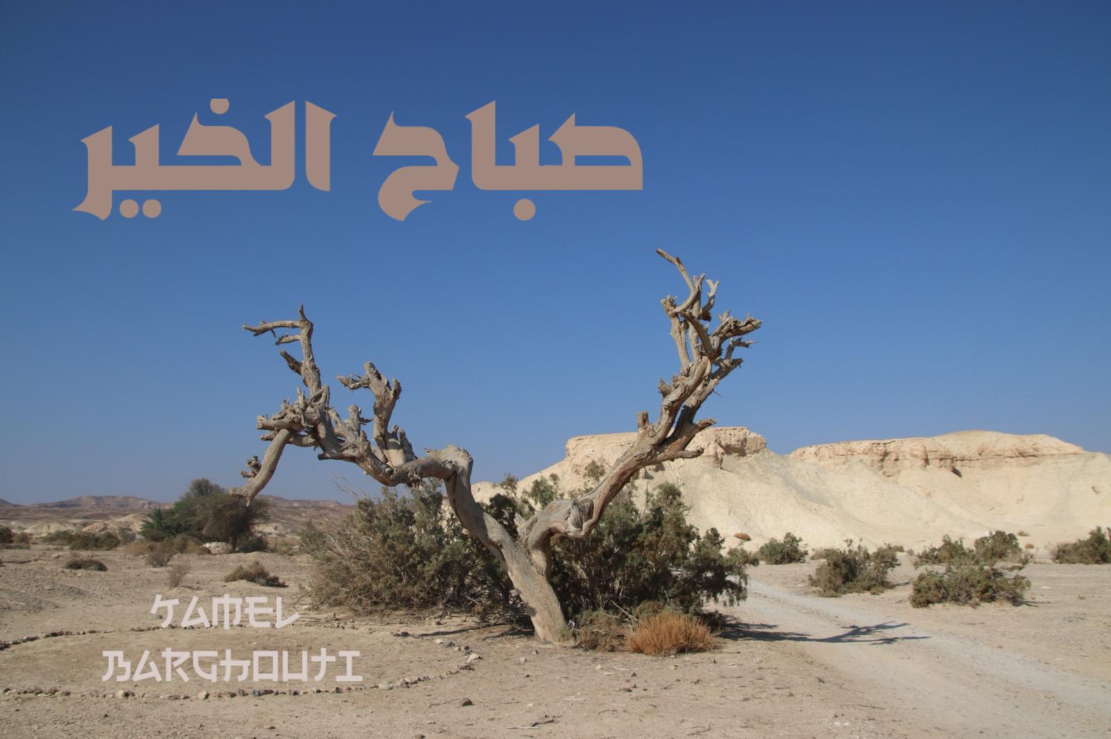 التحيات والتمنيات – اقتباس 90
