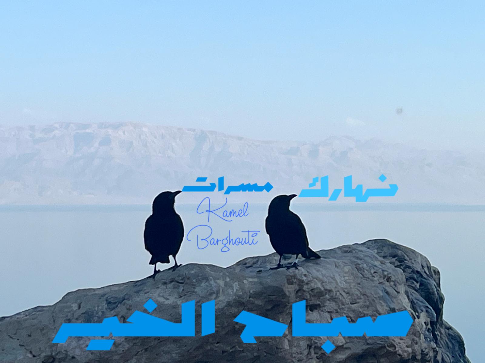 التحيات والتمنيات – اقتباس 59