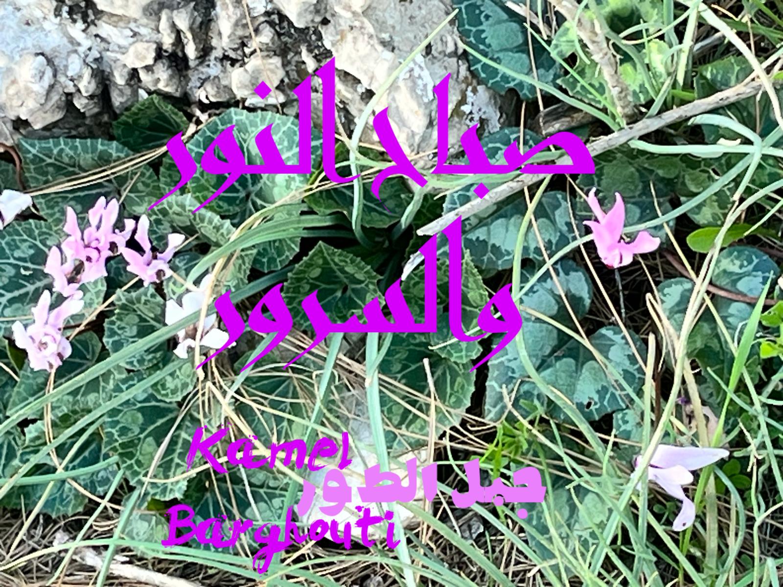 التحيات والتمنيات – اقتباس 65