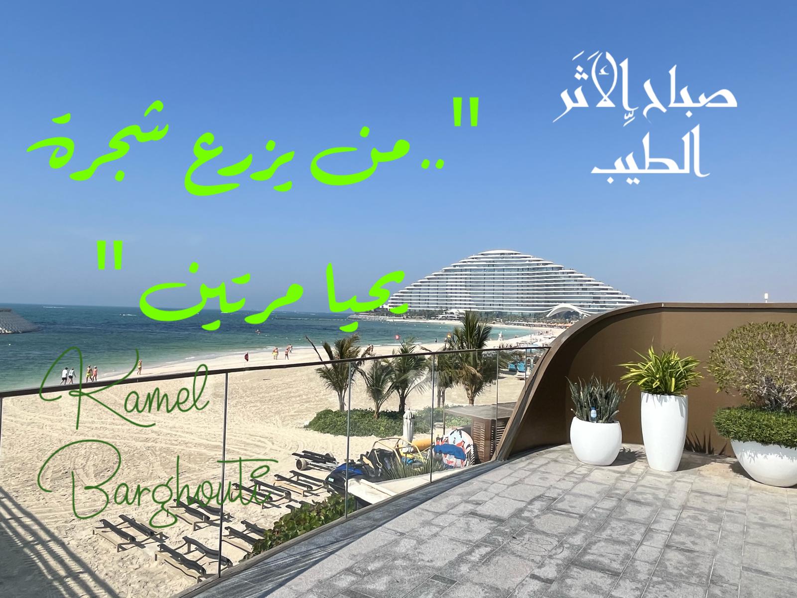 التحيات والتمنيات – اقتباس 77