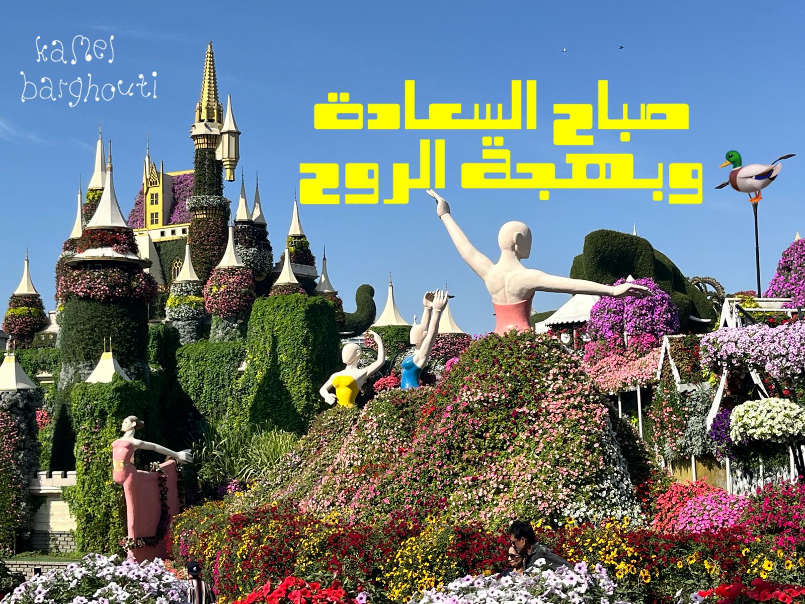 التحيات والتمنيات – اقتباس 43