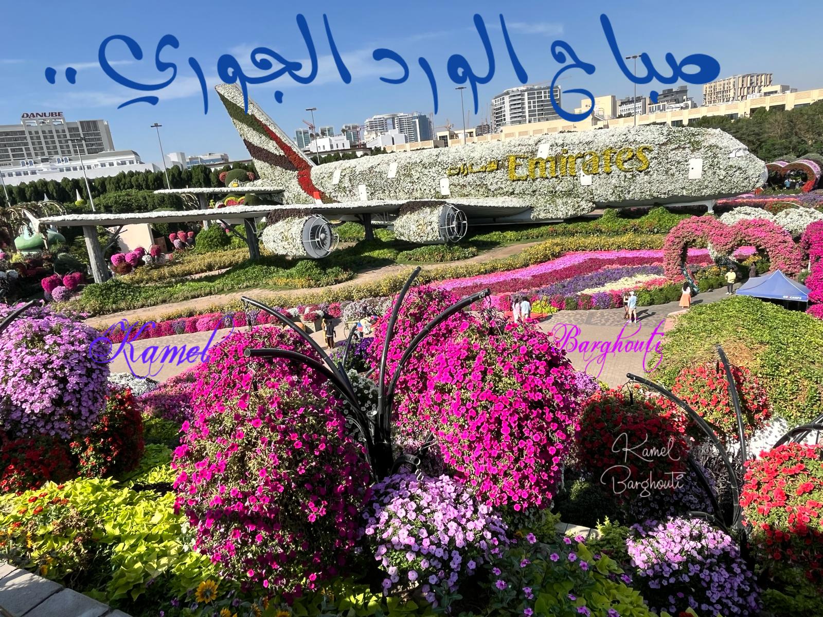 التحيات والتمنيات – اقتباس 54