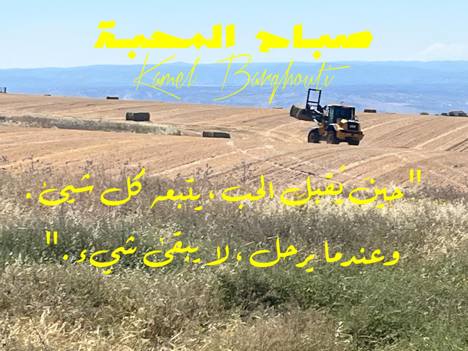 التحيات والتمنيات – اقتباس 46