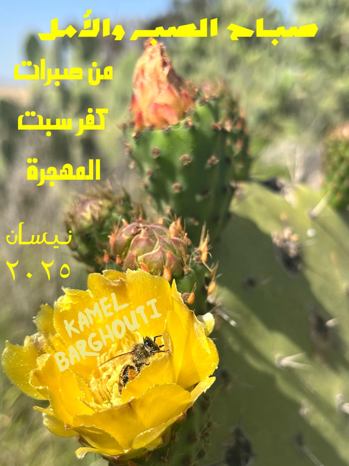 التحيات والتمنيات – اقتباس 51