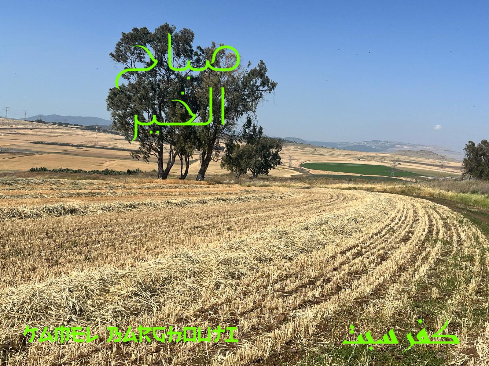 التحيات والتمنيات – اقتباس 40