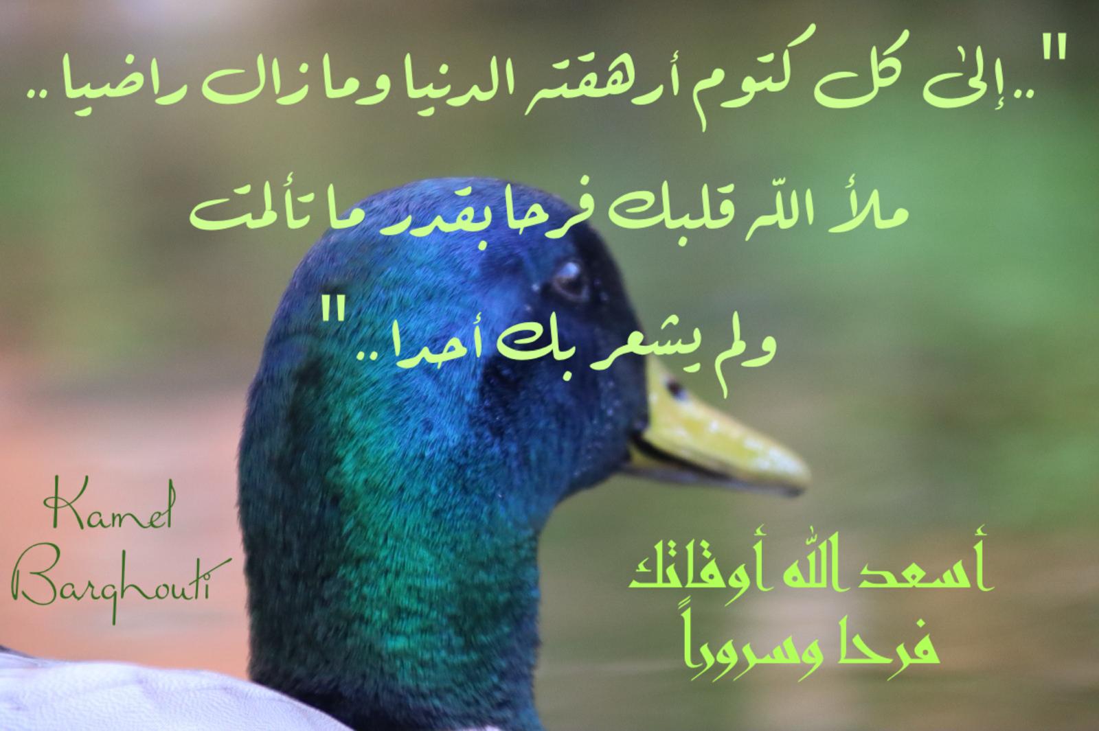 صباح الخير – اقتباس 132