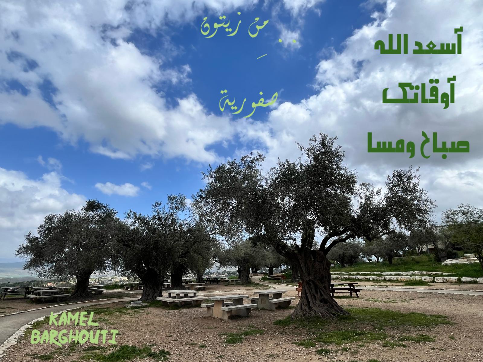 صباح الخير – اقتباس 136
