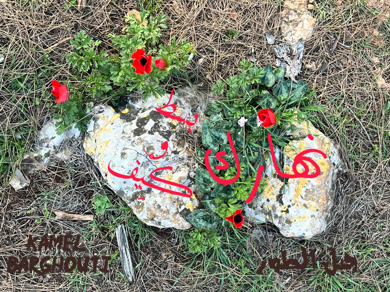 صباح الخير – اقتباس 135