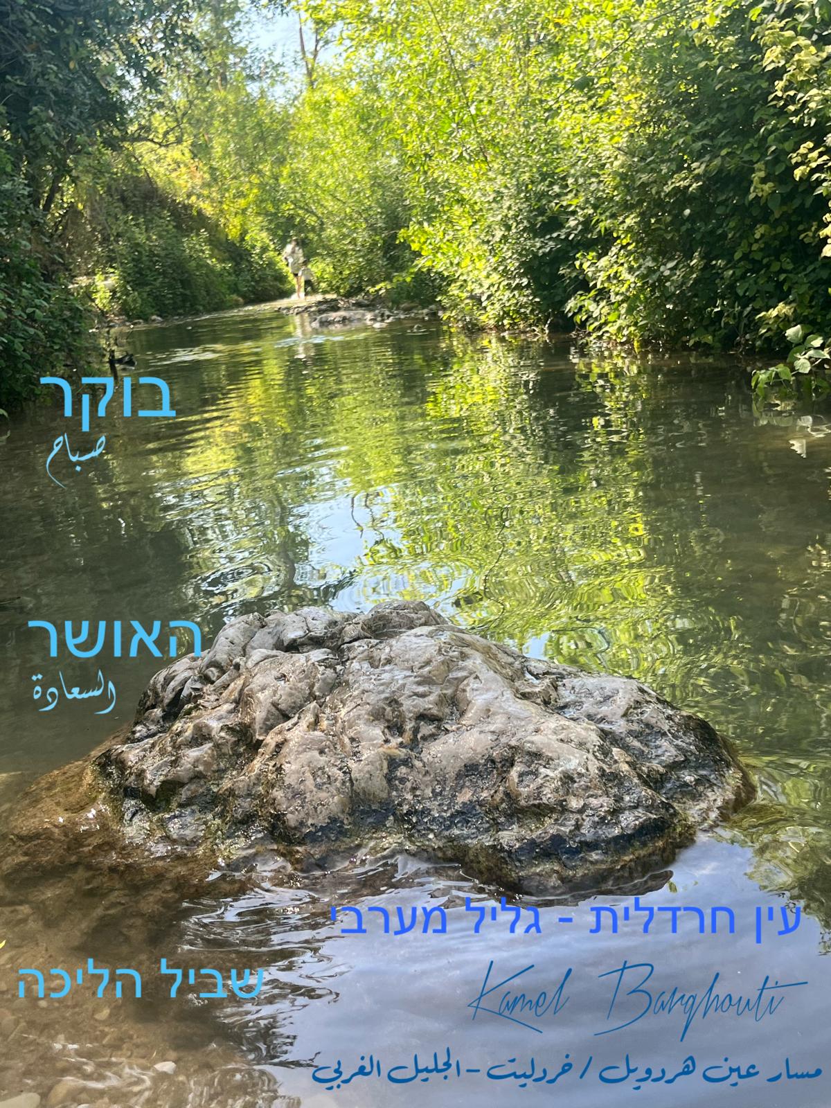 العبرية والأنجليزية – اقتباس 34