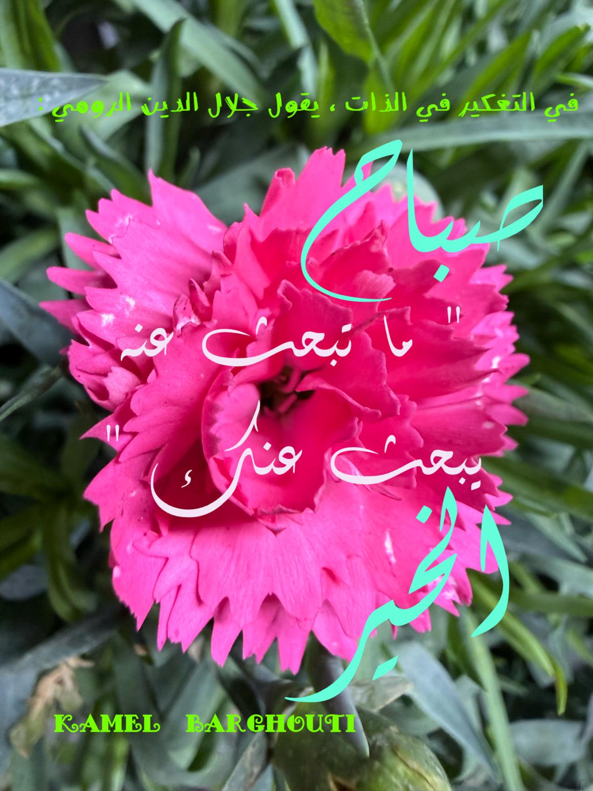 صباح الخير – اقتباس 127