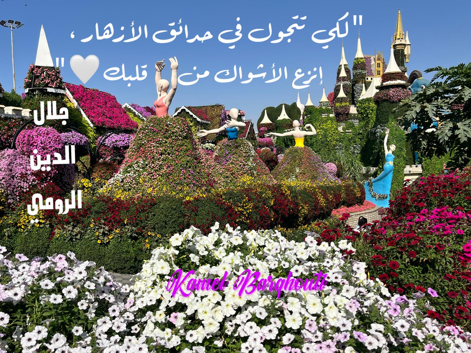 حكمة – اقتباس 328
