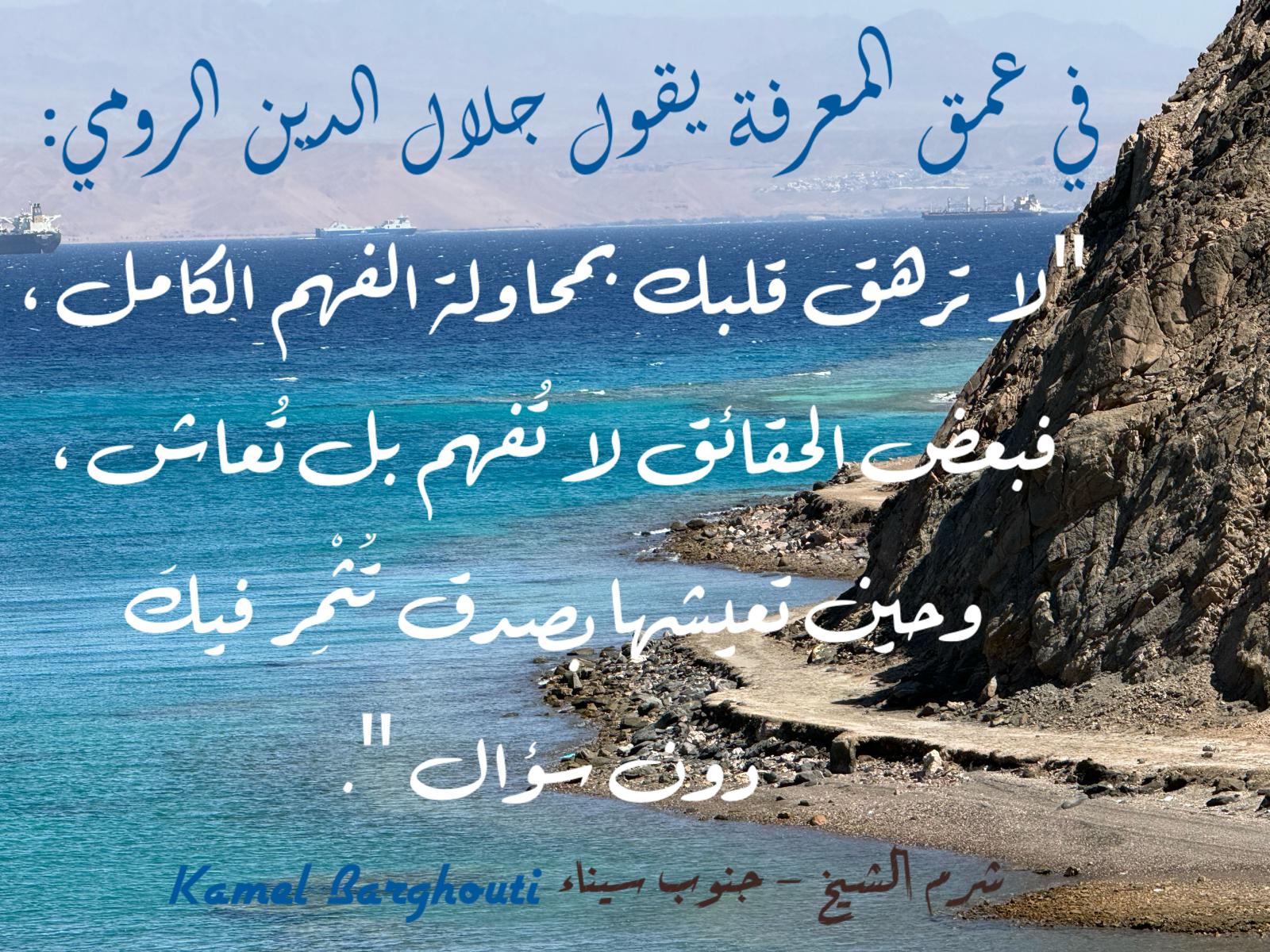 حكمة – اقتباس 324