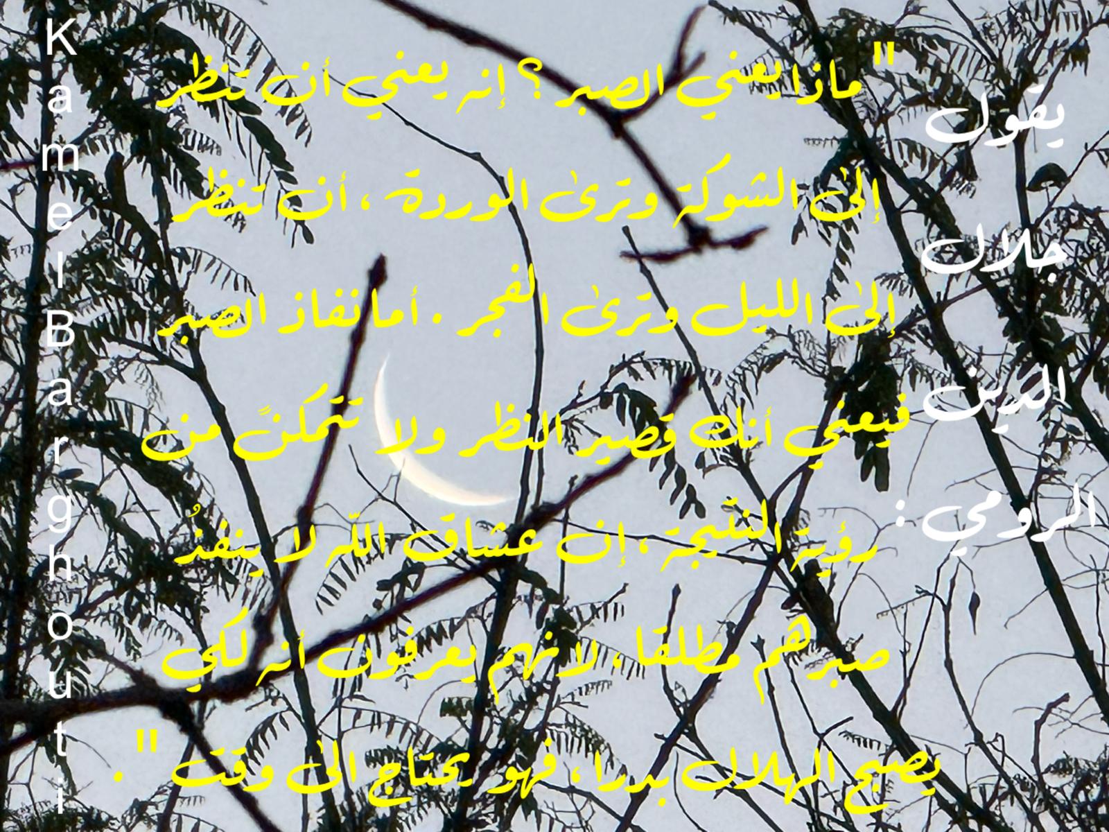 حكمة – اقتباس 326