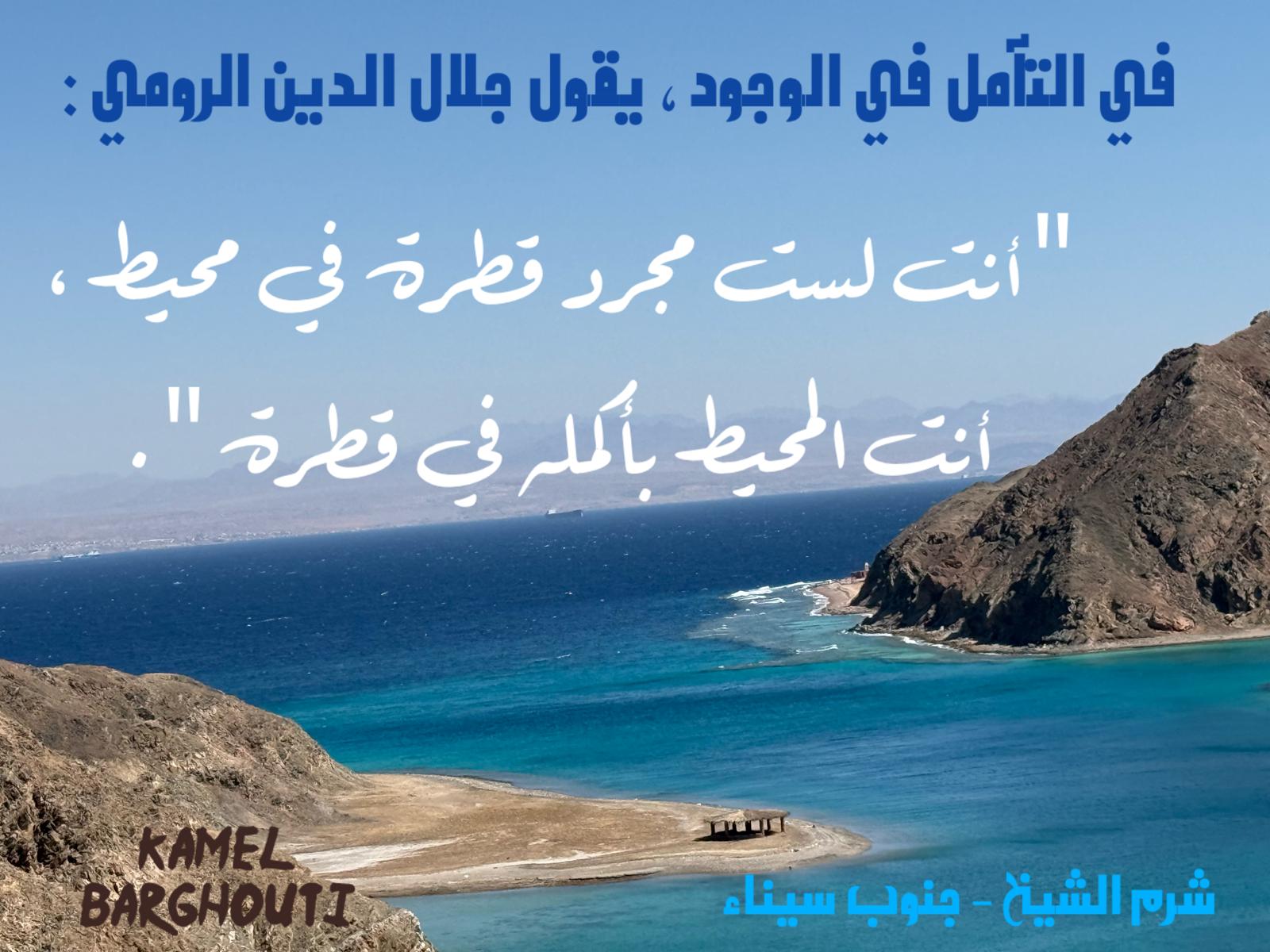 حكمة – اقتباس 323