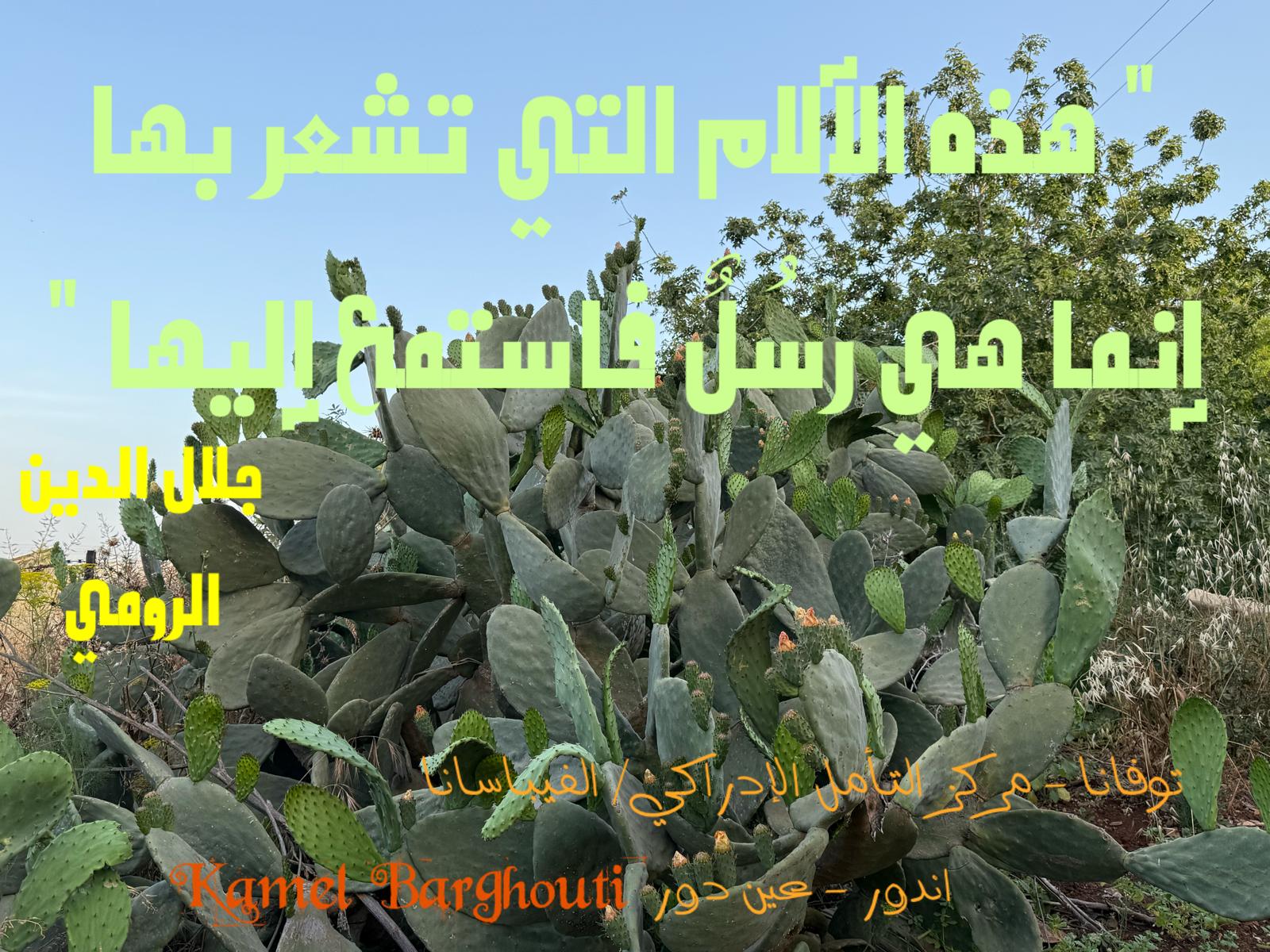 حكمة – اقتباس 329