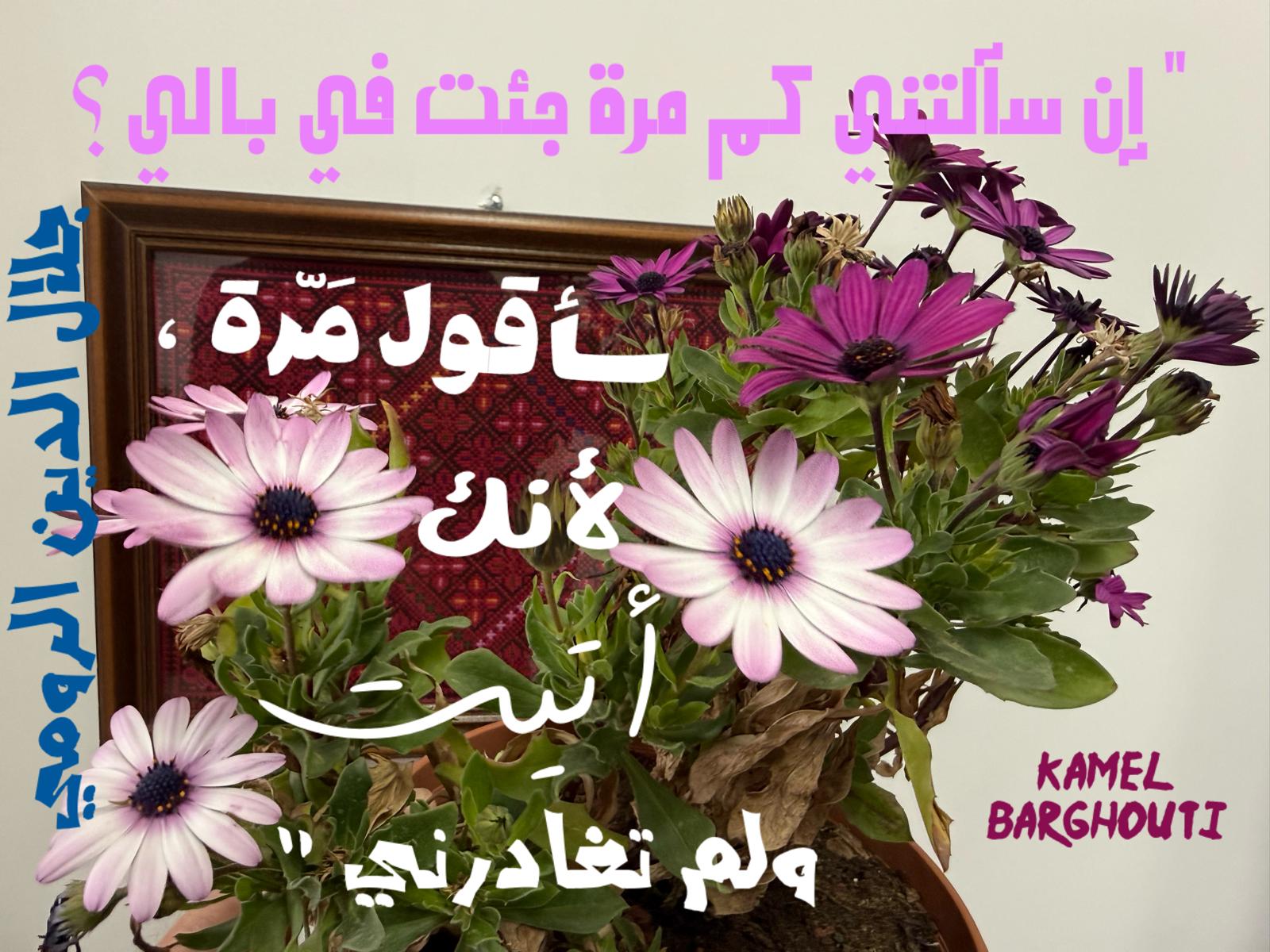 حب وحنين – اقتباس 574