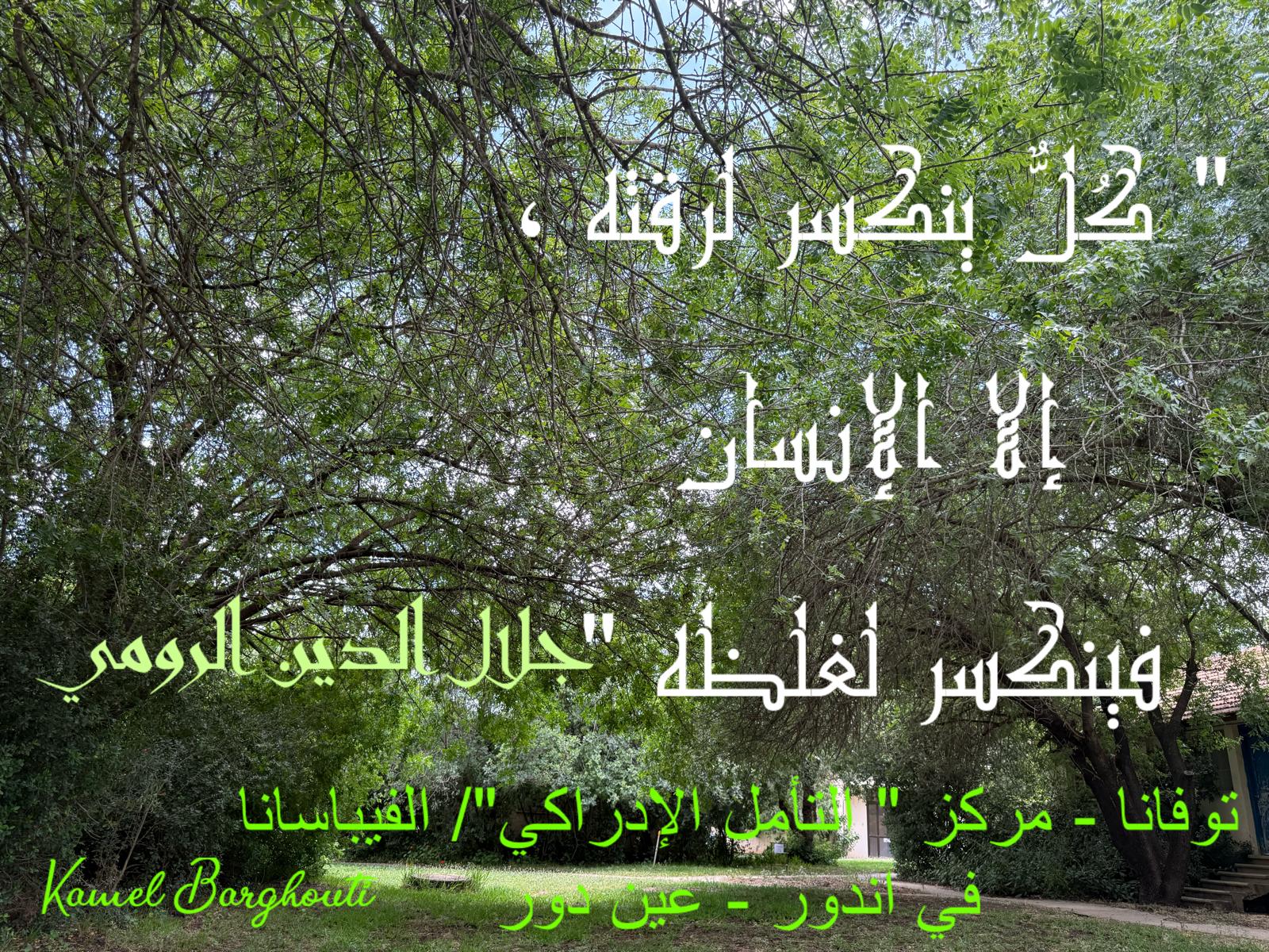 اللطف والاحترام – اقتباس 14