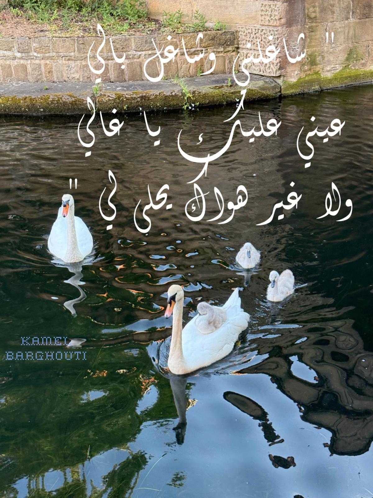 القناعة والصبر – اقتباس 176