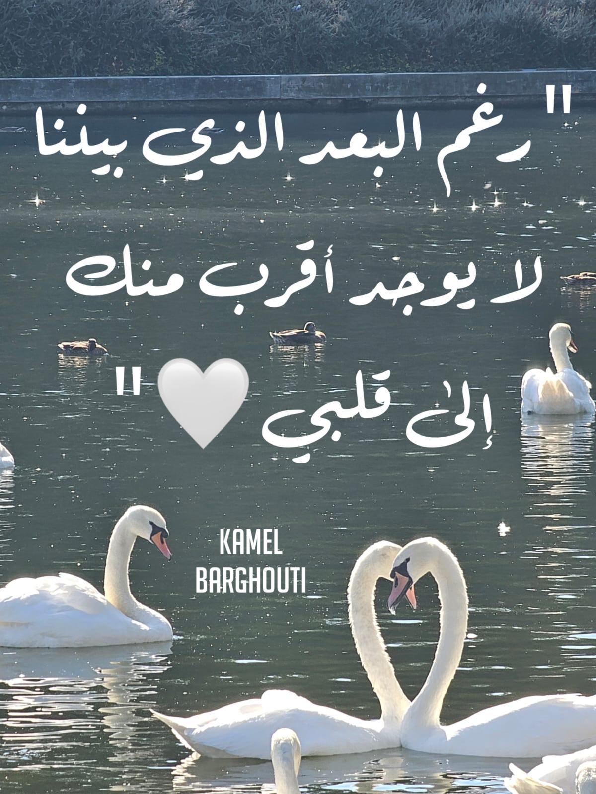 القناعة والصبر – اقتباس 175