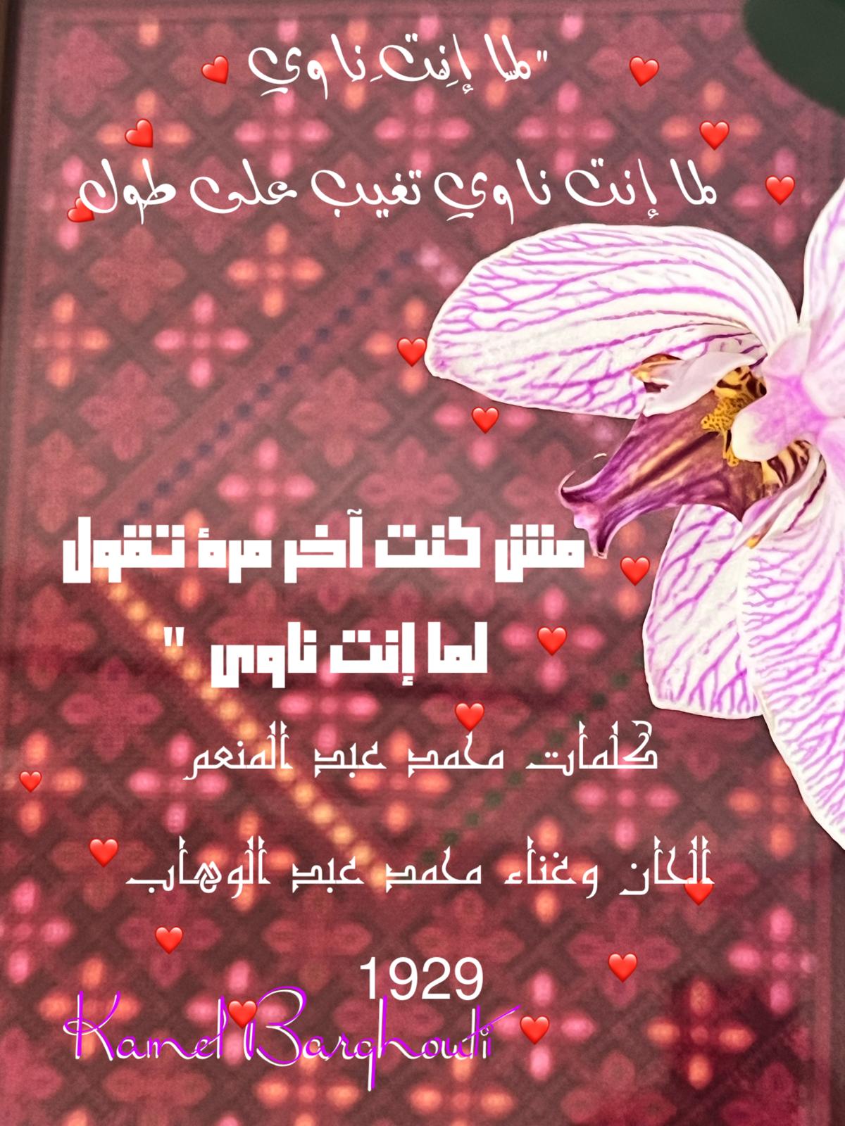 حب وحنين – اقتباس 570