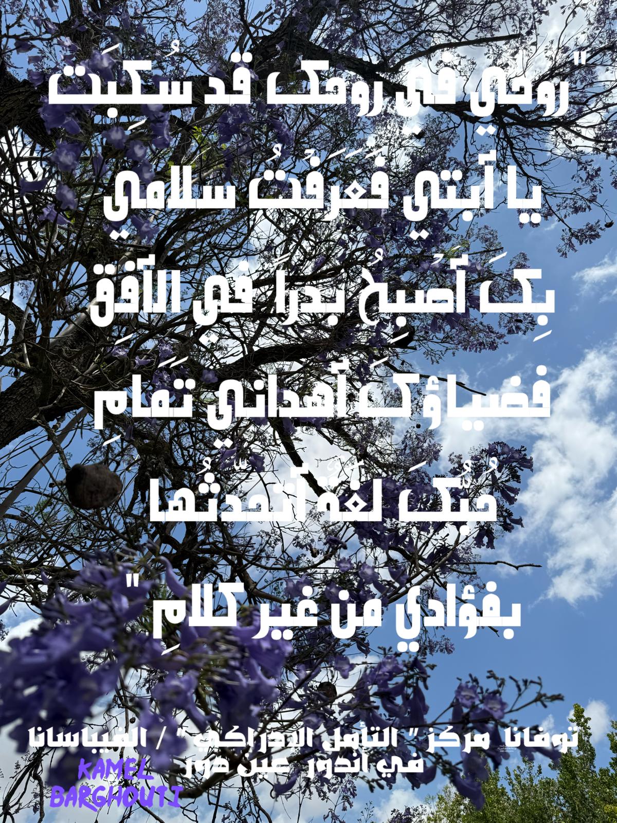 حب وحنين – اقتباس 572