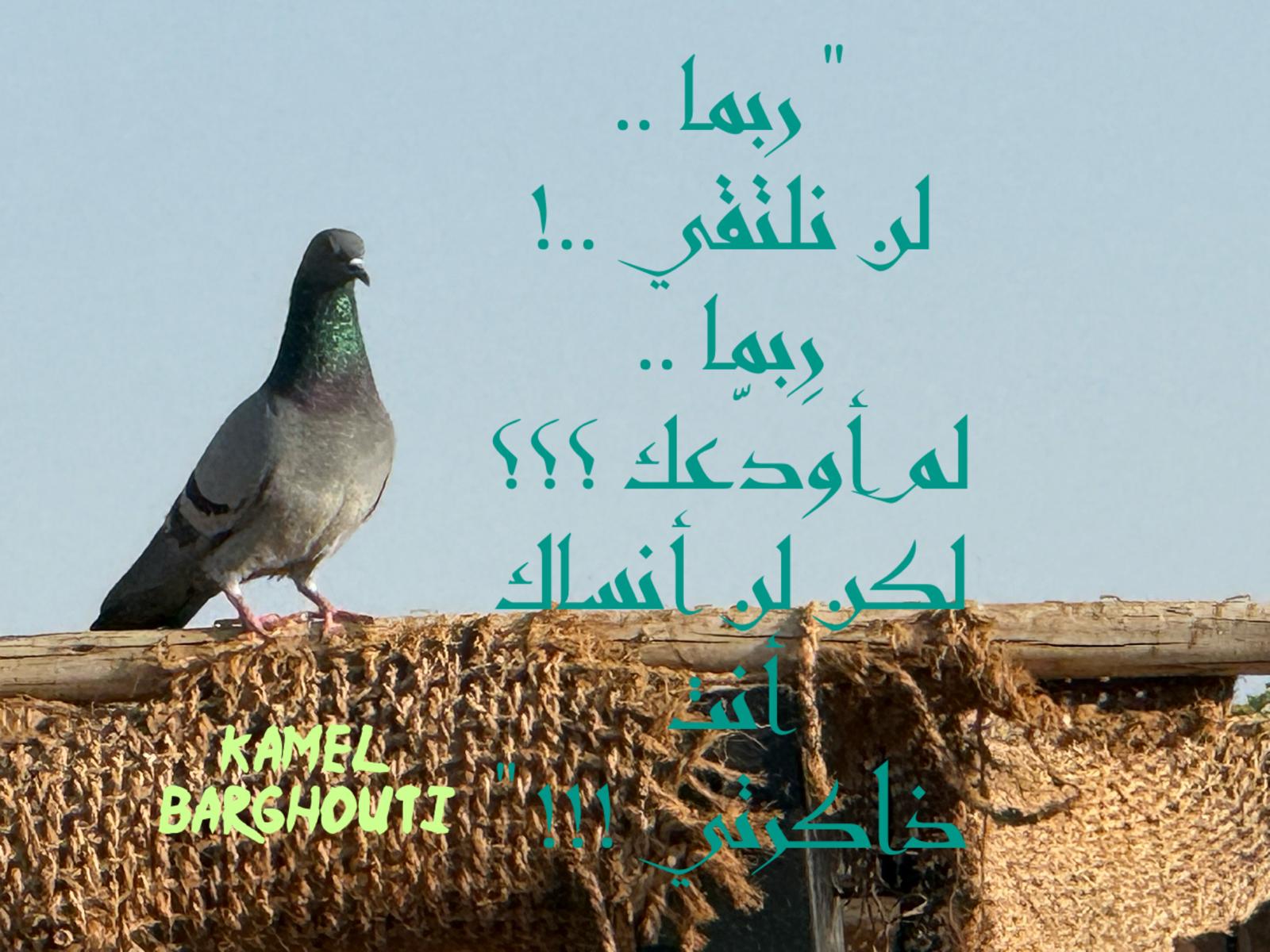 كلام جميل – اقتباس 615