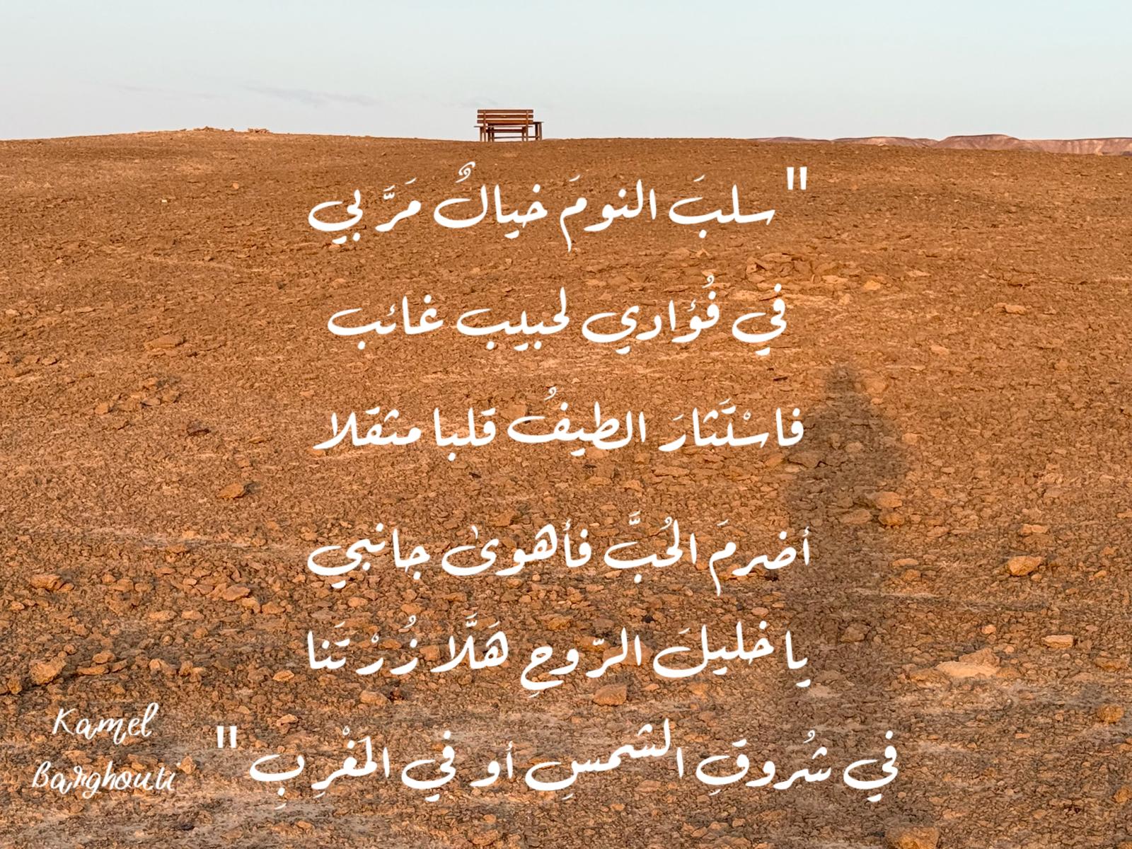 حب وحنين – اقتباس 566