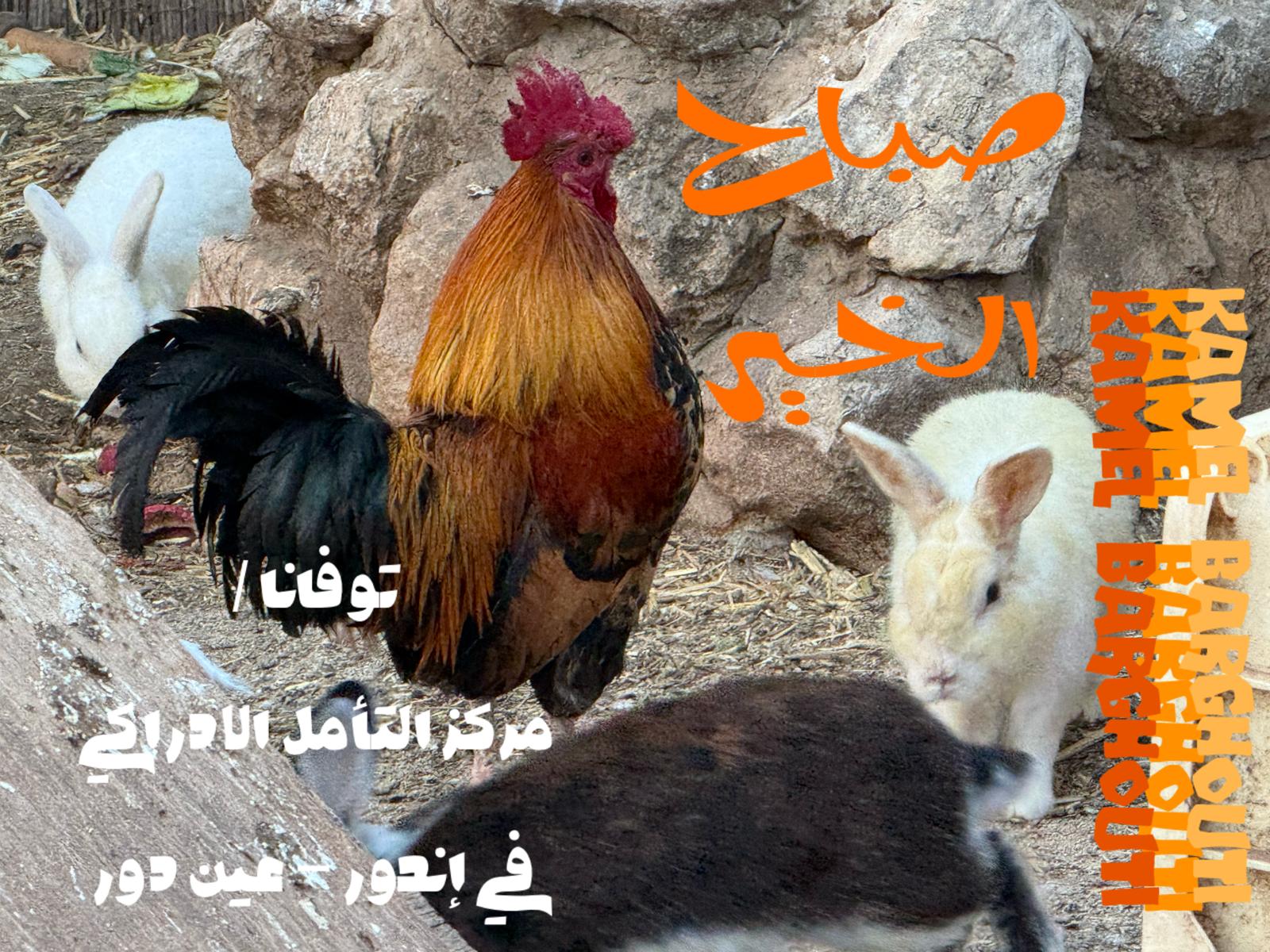 صباح الخير – اقتباس 125